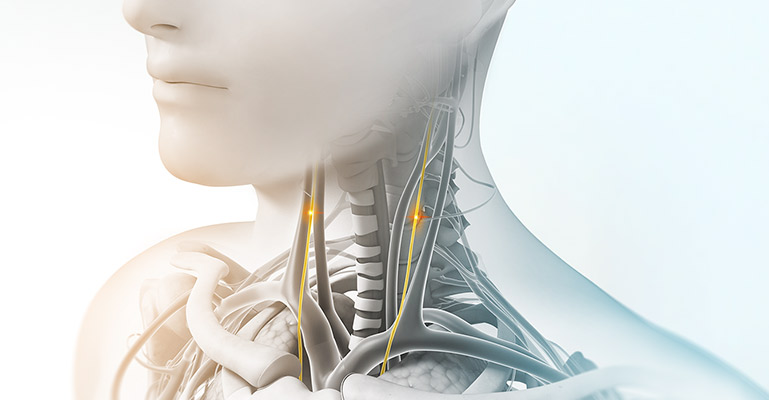 Medical art showing the vagus nerve