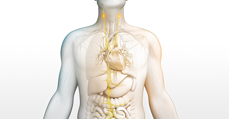 electroCore launches new vagus nerve stimulator in US - Medical